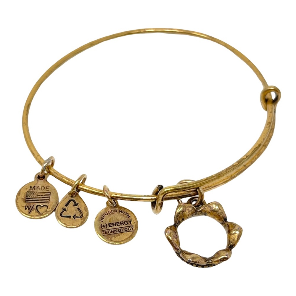 ALEX & ANI Queen's Crown Charm Gold Tone Bangle